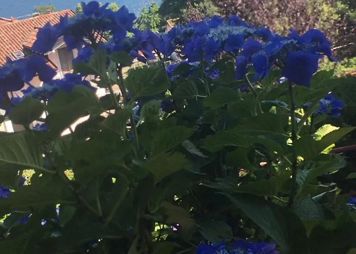 Residenza Vista Mozzafiato