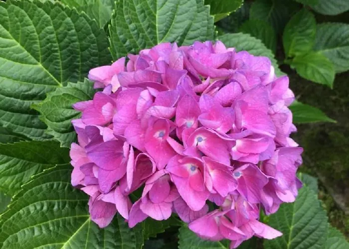 Apartment Residenza Vista Mozzafiato *