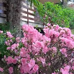 Residenza Vista Mozzafiato Апартаменты Castello (Varese)