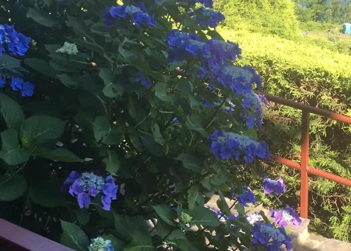 Residenza Vista Mozzafiato Appartement *