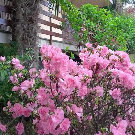 Residenza Vista Mozzafiato Apartman Castello