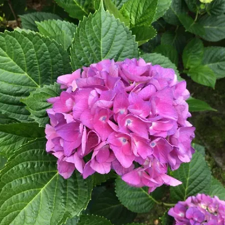 Apartman Residenza Vista Mozzafiato *