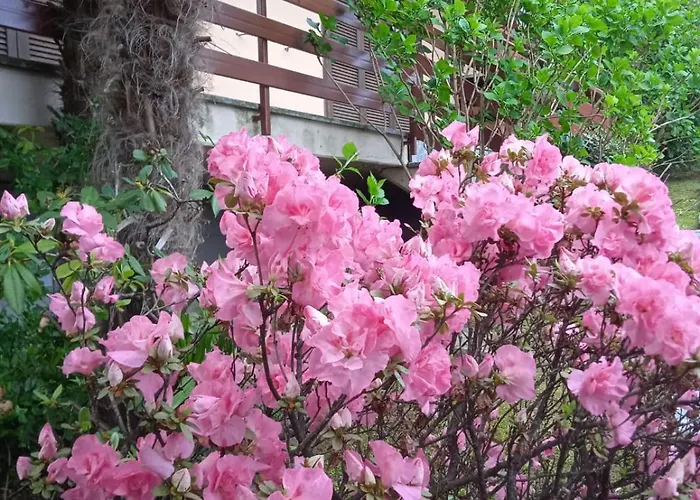 Residenza Vista Mozzafiato Apartament Castello (Varese)