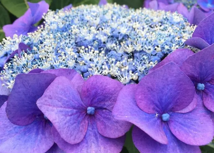 Residenza Vista Mozzafiato Apartament Castello (Varese)